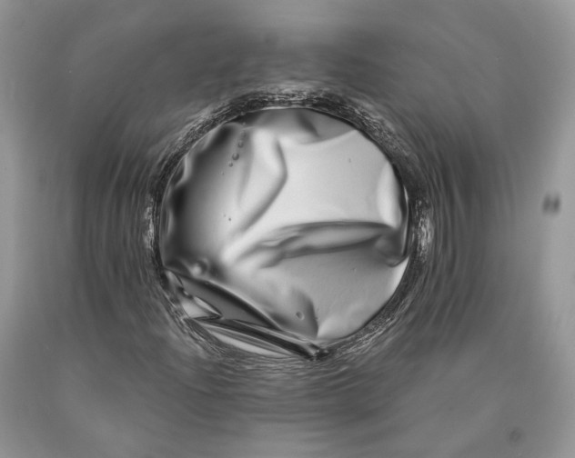 X0000089911204200707201748