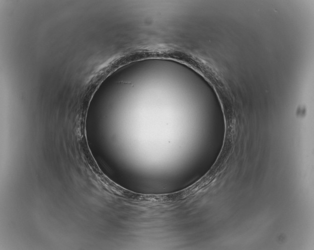 X0000089911205200707201748