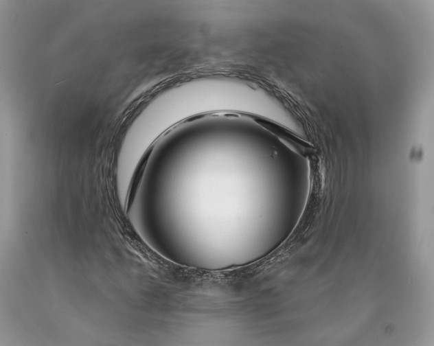 X0000089911206200707201748
