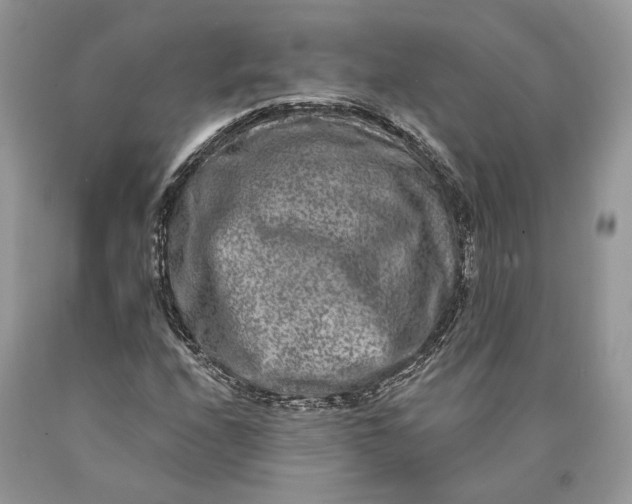 X0000089911208200707201748