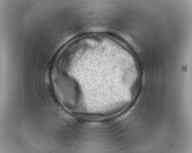 X0000089911209200707201748