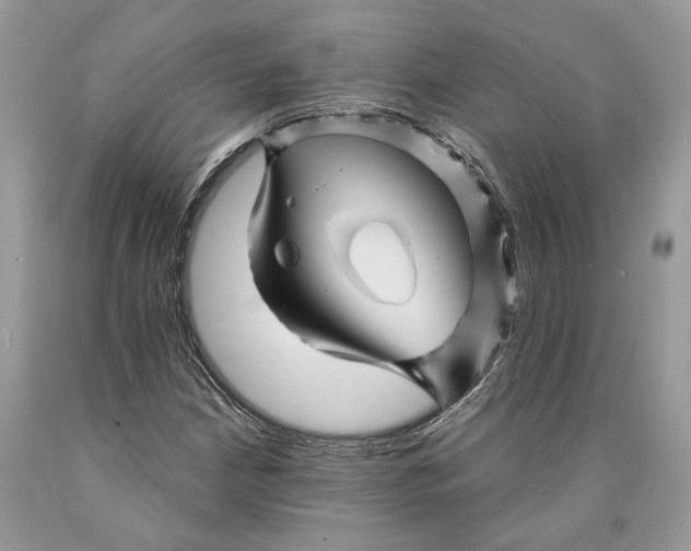X0000089911210200707201748