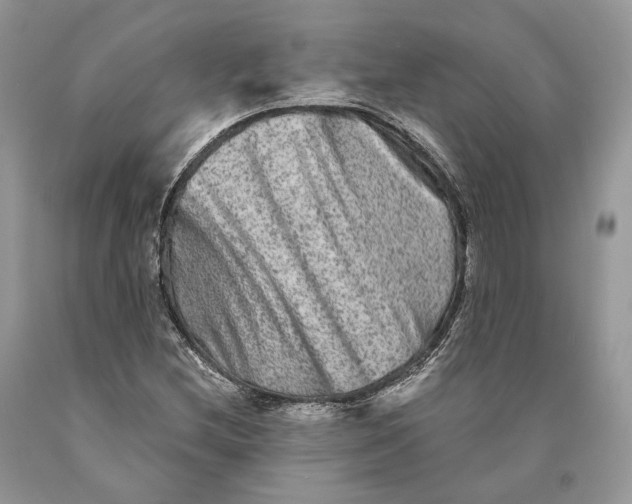 X0000089911212200707201749