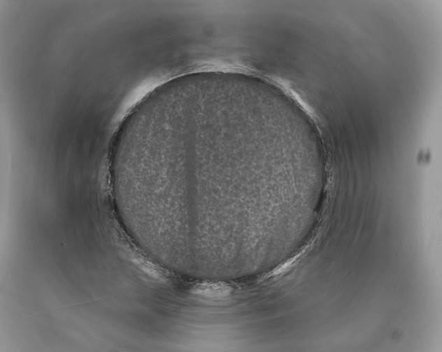 X0000089911215200707201749