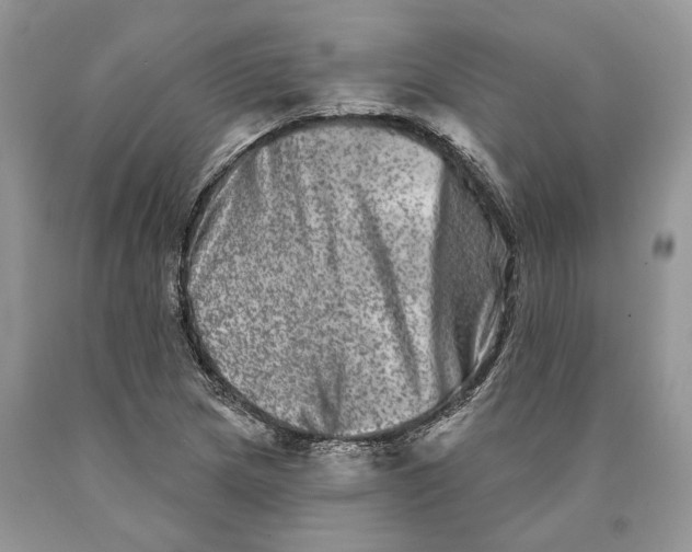 X0000089911217200707201749