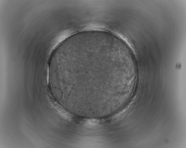 X0000089911219200707201749