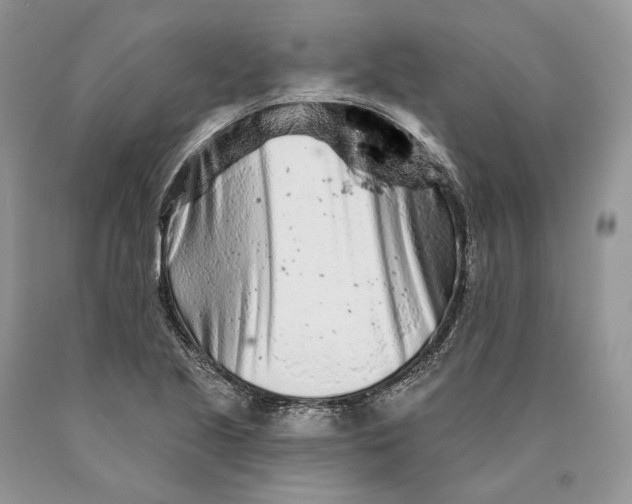 X0000089911221200707201749