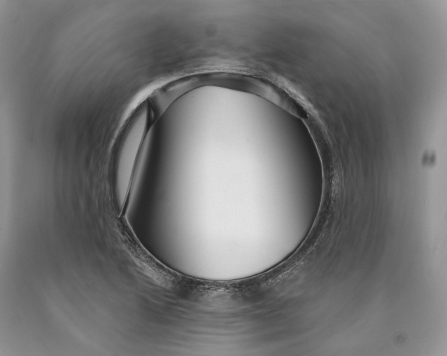 X0000089911222200707201749