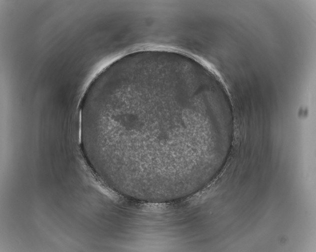 X0000089911223200707201749