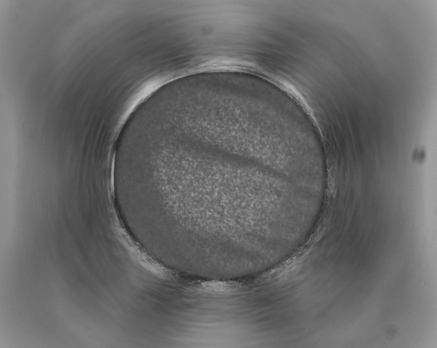 X0000089911227200707201749