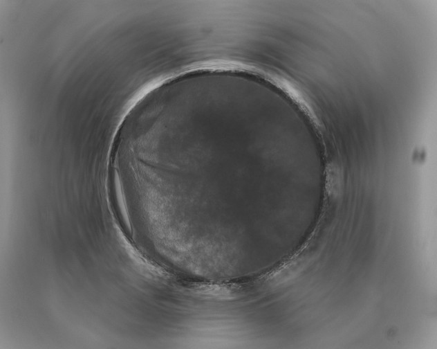 X0000089911229200707201749