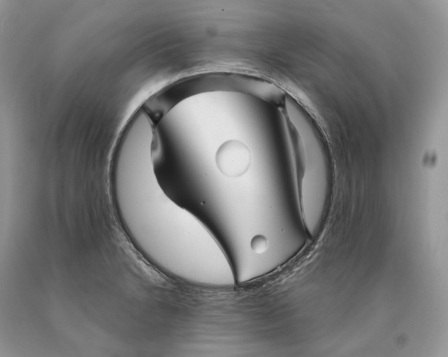 X0000089911230200707201749