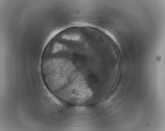 X0000089911231200707201749