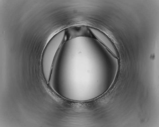 X0000089911234200707201749