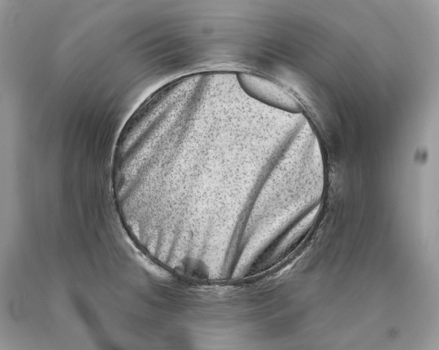 X0000089911236200707201749