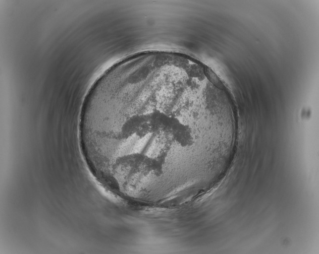X0000089911237200707201749