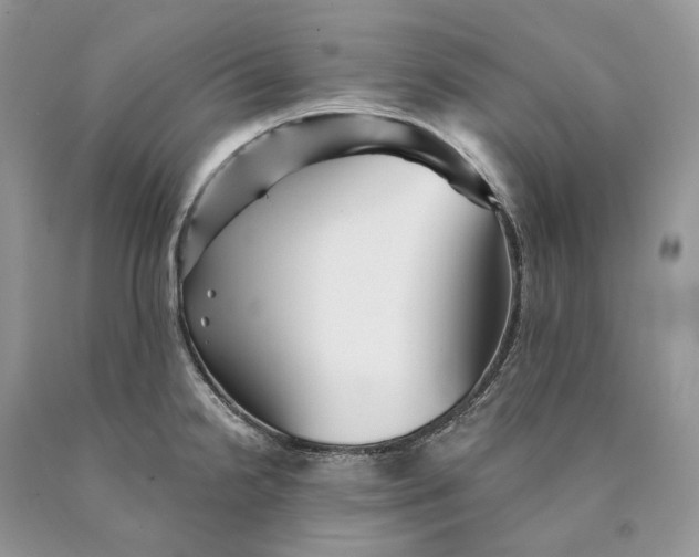 X0000089911238200707201749