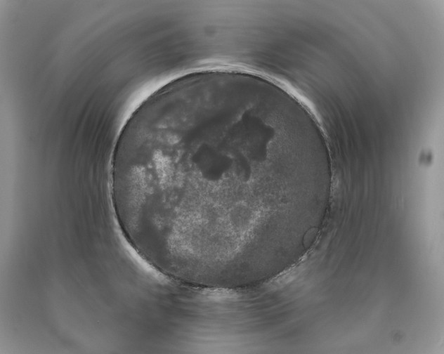 X0000089911239200707201749