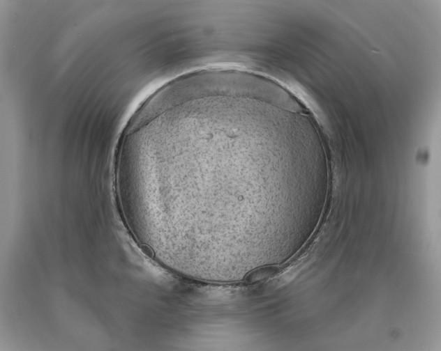 X0000089911240200707201749