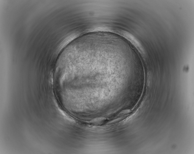 X0000089911241200707201749