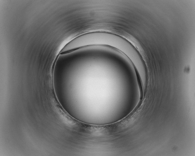 X0000089911242200707201749
