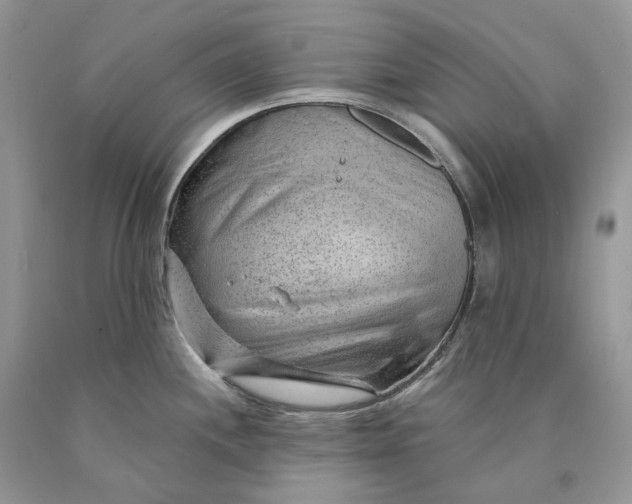 X0000089911244200707201749
