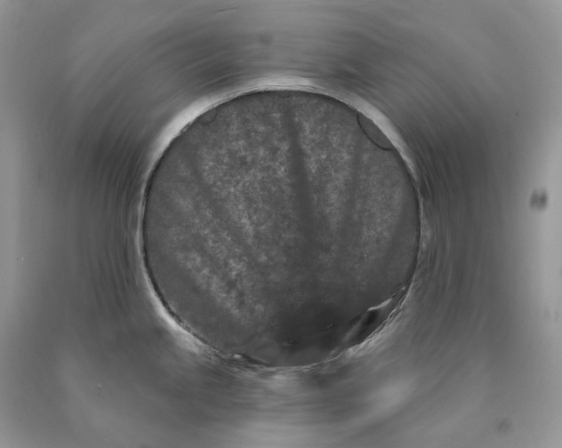 X0000089911245200707201749
