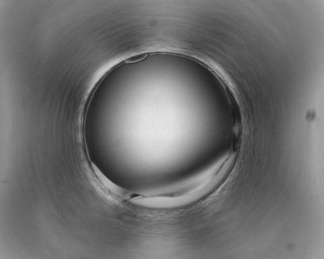 X0000089911246200707201749