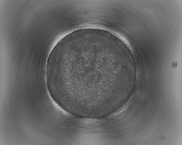 X0000089911247200707201749
