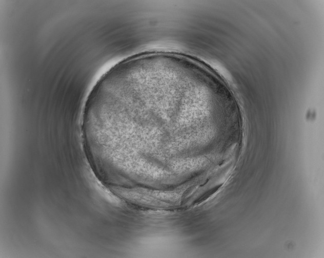 X0000089911248200707201749