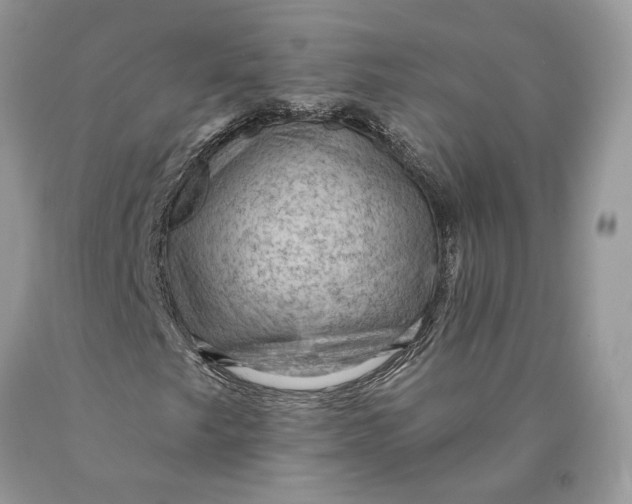 X0000089911249200707201748