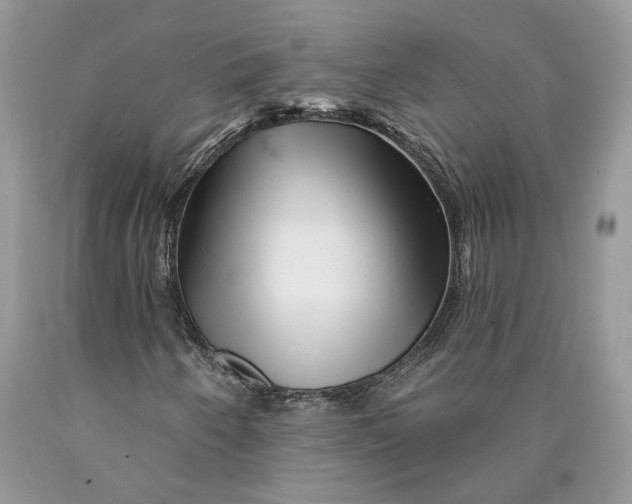 X0000089911250200707201748
