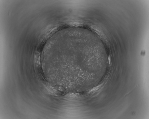 X0000089911251200707201748
