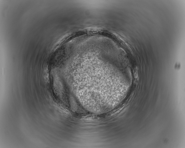 X0000089911252200707201748