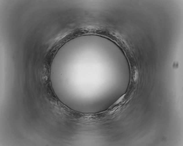 X0000089911253200707201748