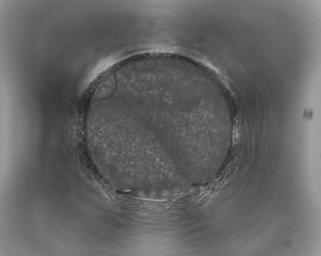 X0000089911255200707201748