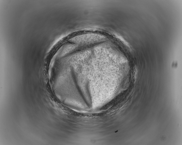 X0000089911256200707201748