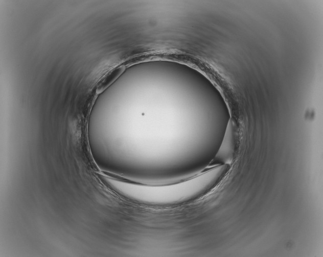 X0000089911257200707201748
