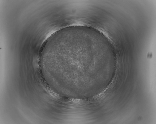 X0000089911258200707201748