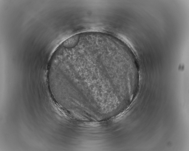 X0000089911260200707201748
