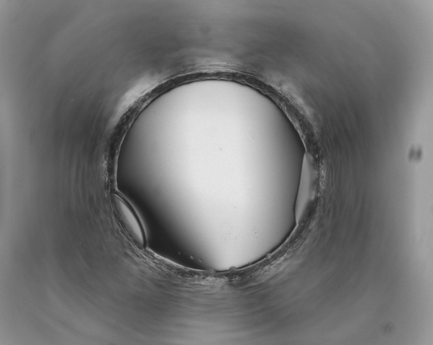 X0000089911261200707201748