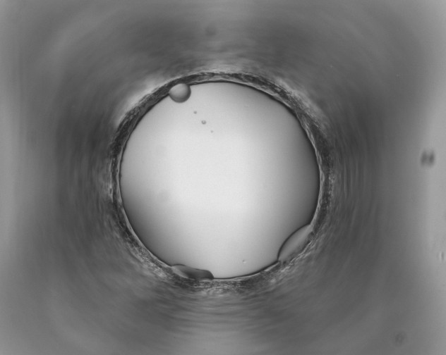 X0000089911262200707201748