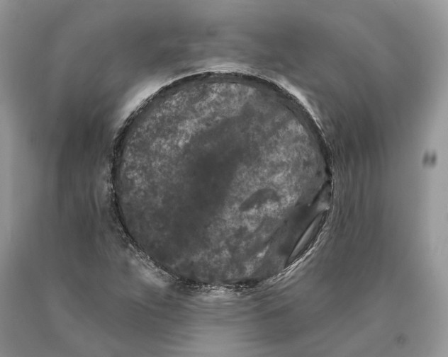 X0000089911263200707201748