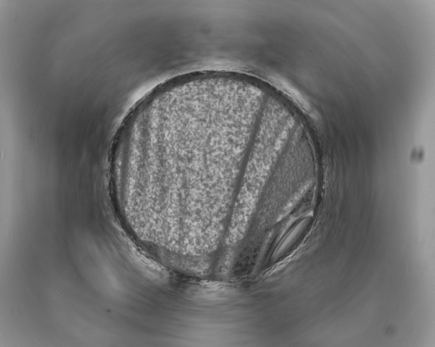 X0000089911264200707201748