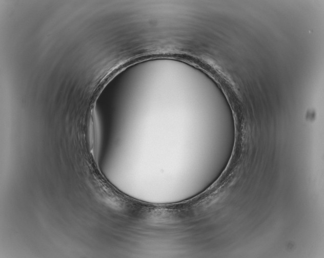 X0000089911265200707201748