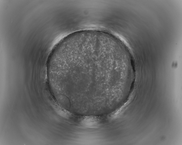 X0000089911267200707201748
