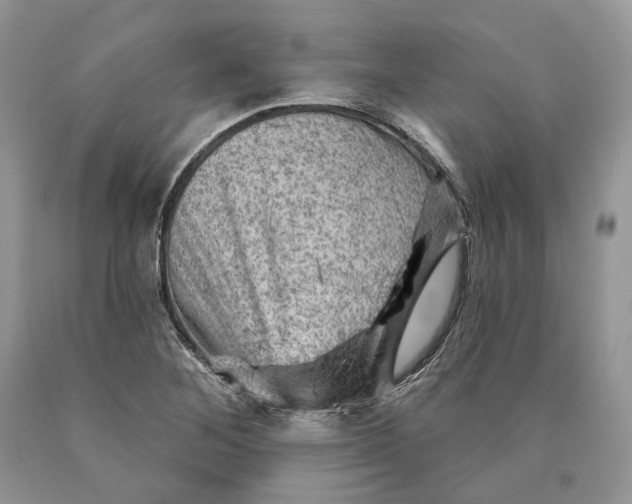 X0000089911268200707201748