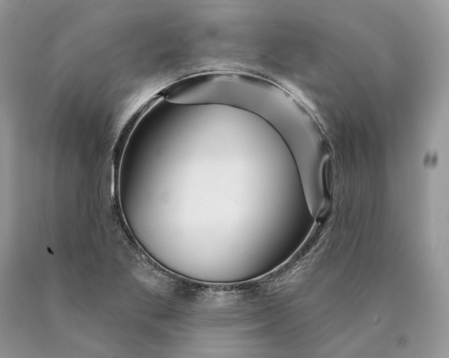 X0000089911269200707201748