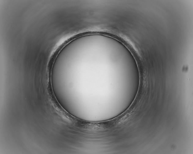 X0000089911270200707201748