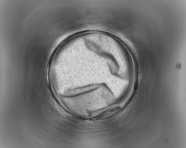 X0000089911272200707201748